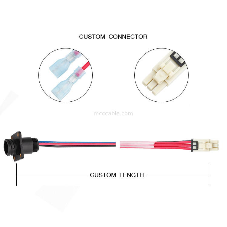 6 4 PinへのPin 100mmの長さワイヤー馬具アセンブリMolex 1722582106 TE 208130-1
