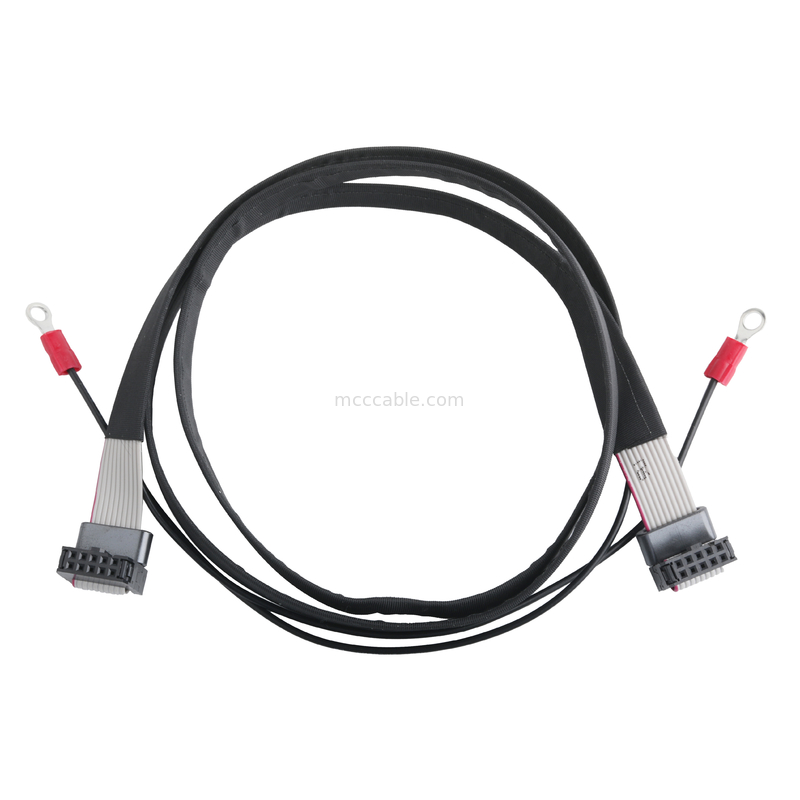 IDC FC-10PとTER M4ピッチ 1.27mm リングワイヤ UL2651 28AWGケーブルOEM/ODM付き地面ケーブル接続器