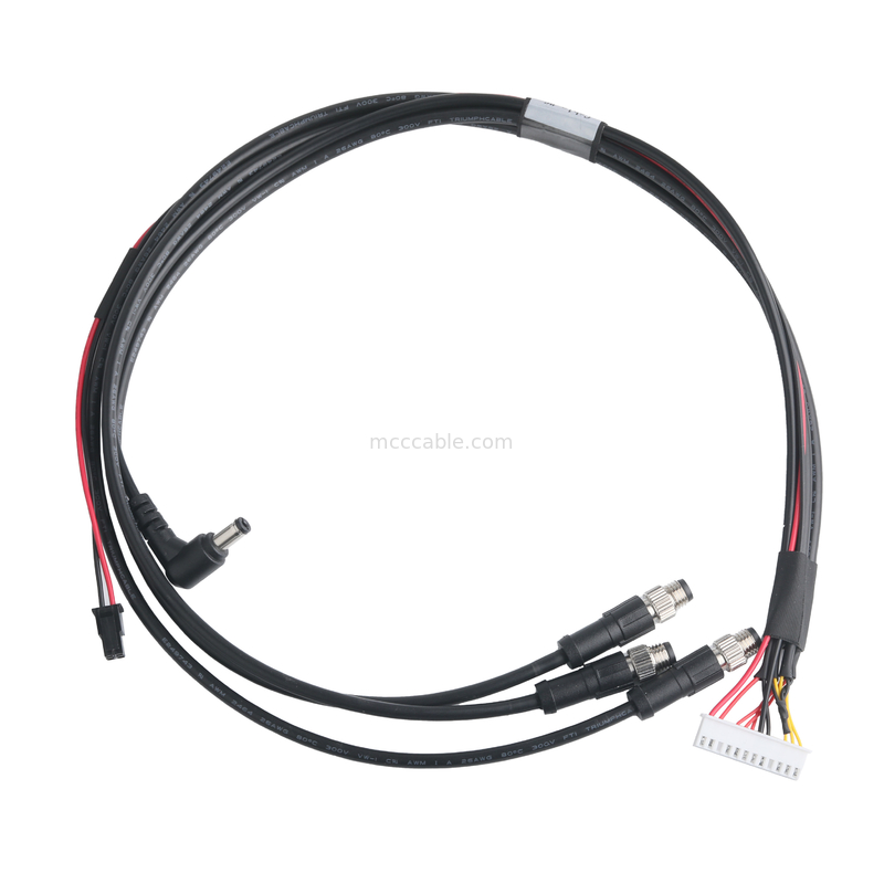 XHB-12PからM8 CONNケーブルアセンブリとDC CONNまたは43025-0400 CONNピッチ3.0mmOEM/ODM