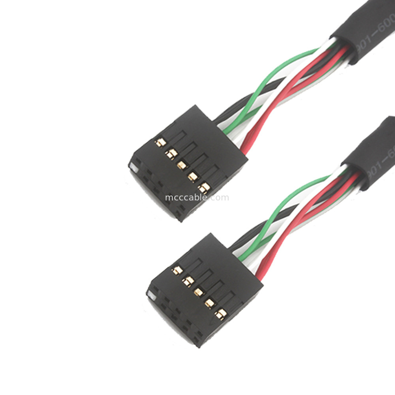 2.54mm Sbc 10 POS MOLEX 22552101ケーブルへの二重Usbワイヤー馬具のBb